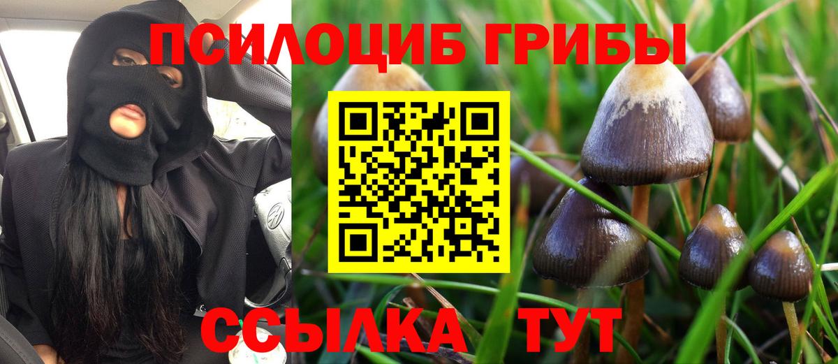 Галлюциногенные грибы MAGIC MUSHROOMS  Вход с VPN  наркота  Шелехов 