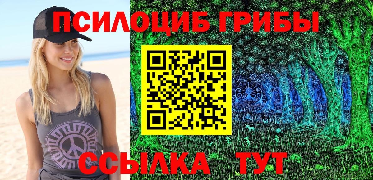 Галлюциногенные грибы Psilocybine cubensis Шелехов
