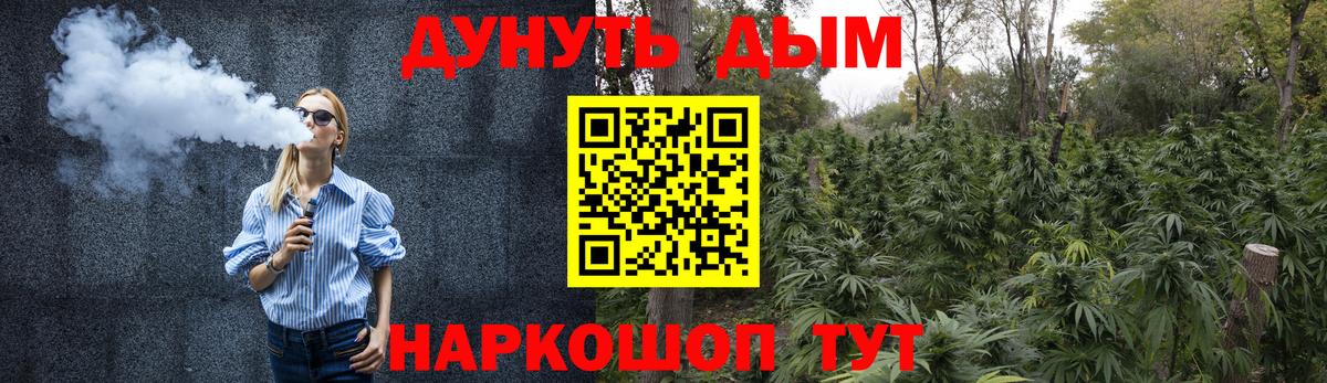 Каннабис сатива Шелехов
